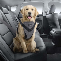 All For Paws 2i1 Køre og Tursele Til Hunden LARGE